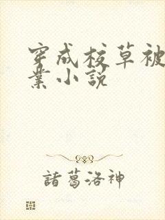 穿成校草被迫营业小说