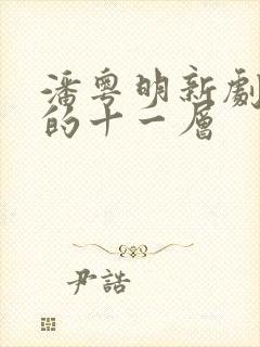 潘粤明新剧消失的十一层