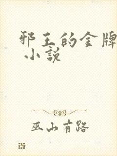 邪王的金牌宠妃 小说