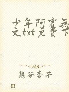少年阿宾无删全文txt免费下载