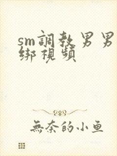 sm调教男男捆绑视频