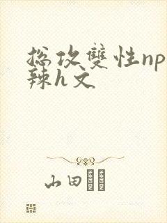 总攻双性np高辣h文封面