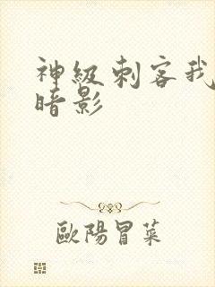 神级刺客我既是暗影