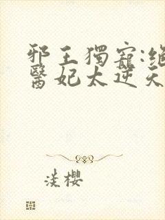 邪王独宠:绝色医妃太逆天的