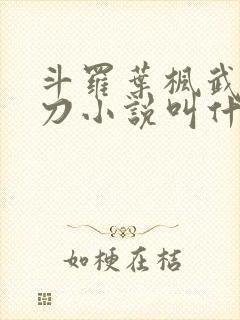 斗罗叶枫武魂镰刀小说叫什么