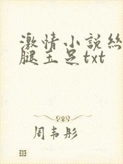 激情小说丝袜美腿玉足txt封面