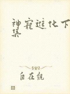 神宠进化下载全集