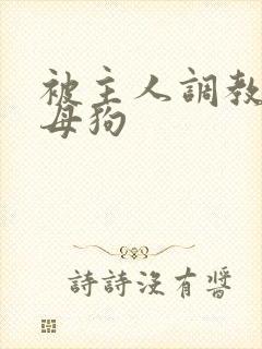 被主人调教的骚母狗