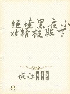 绝境黑夜小说txt精校版下载封面