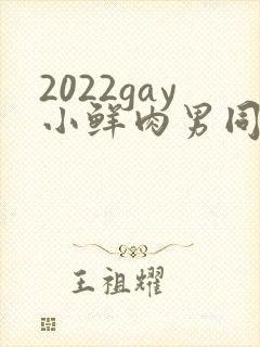 2022gay小鲜肉男同封面