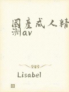 国产成人精品亚洲av