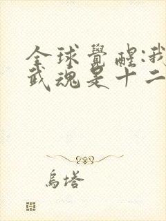 全球觉醒:我的武魂是十二翼炽天使