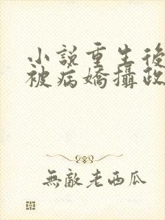 小说重生后,我被病娇摄政王缠上了txt下载