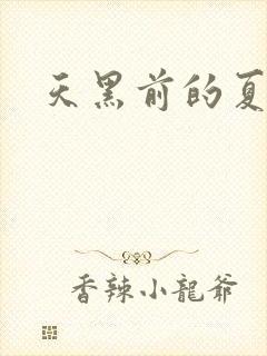 天黑前的夏天