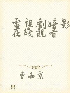 电视剧暗影全集在线观看封面