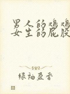 男人的鸡鸡插入女生的屁股里面视频