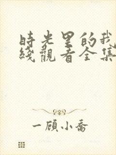 时光里的我们在线观看全集免费播放封面