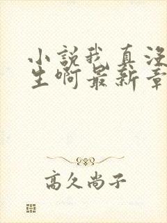 小说我真没想重生啊最新章节封面