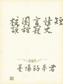 校园言情短篇小说甜宠文封面