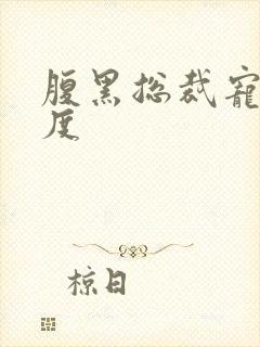 腹黑总裁宠妻无度