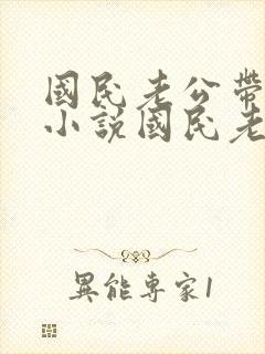 国民老公带回家小说国民老公带回家