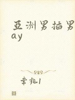 亚洲男插男同gay