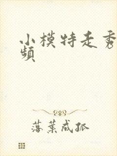 小模特走秀的视频封面