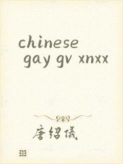 chinese gay gv xnxx封面