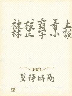 被校霸看上姜雪林正宇小说在线阅读封面