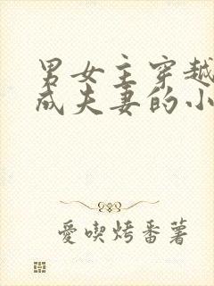 男女主穿越古代成夫妻的小说