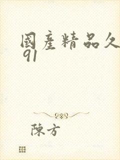 国产精品久久久 91