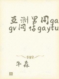 亚洲男同gaygv网站gaytubeporn肌肉猛男