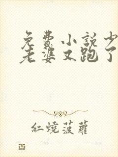 免费小说少帅你老婆又跑了