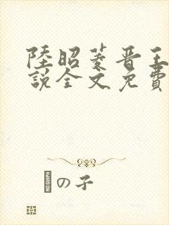 陆昭菱晋王的小说全文免费阅读