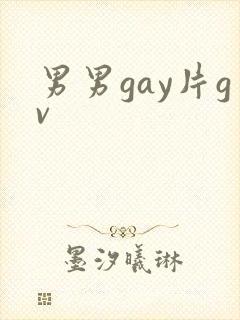 男男gay片gv封面