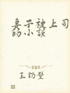 妻子被上司中出的小说