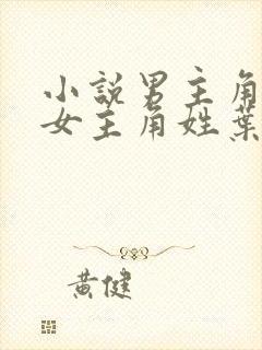 小说男主角林凡女主角姓叶