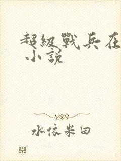 超级战兵在都市 小说