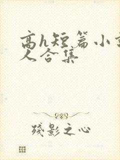 高h短篇小说多人合集