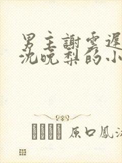 男主谢云迟女主沈晚梨的小说免费阅读封面