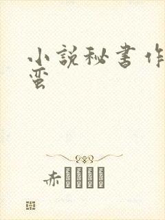 小说秘书作者阿蛮封面