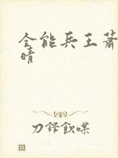 全能兵王萧晨苏晴