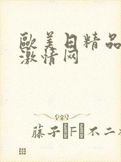 欧美日精品午夜激情网