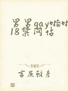 男男gay啪啪18禁网站