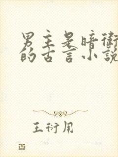 男主是暗卫死士的古言小说