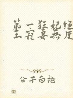 第一狂妃绝色邪王宠妻无度免费