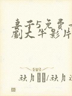 妻子5免费看韩剧大牛影片封面