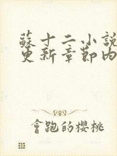 苏十二小说最新更新章节内容