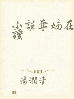 小说夺嫡在线阅读