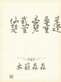 仙武帝尊叶辰和楚萱儿重逢